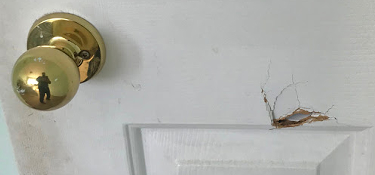 interior door hole repair Fairfax