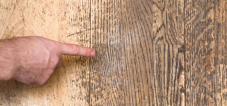 Wood Door Scratch Repair in Fairfax